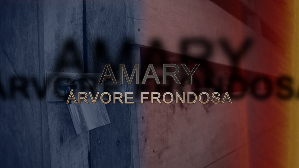 Amary Árvore Frondosa — project artwork